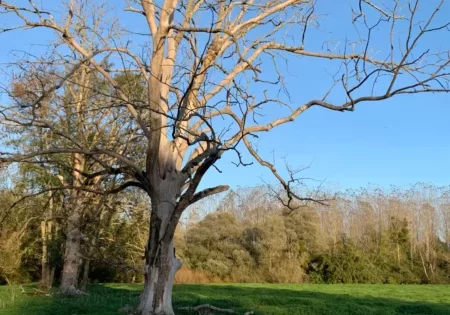 Location vacances Franche-Comté